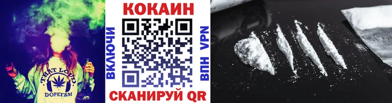 Купить  Городец  COCAIN FishScale 