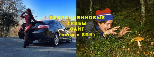 ALPHA PVP Касимов